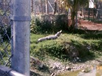 photos 2000-200900078